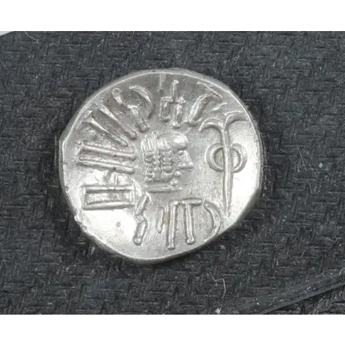 Ancient Greek Coin