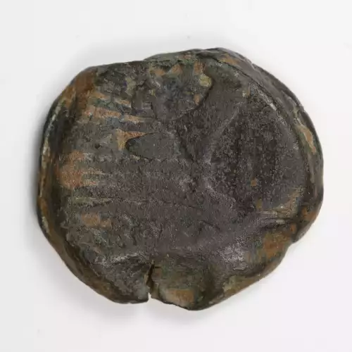 Ancient Roman Coin (3)