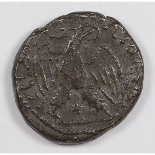 Ancient Roman Coin (3)