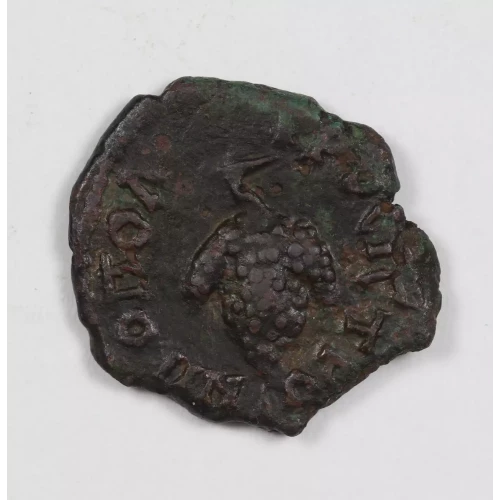 Ancient Roman Coin (2)