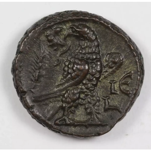 Ancient Roman Coin (3)