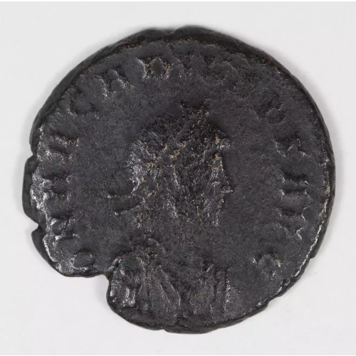 Ancient Roman Coin (3)