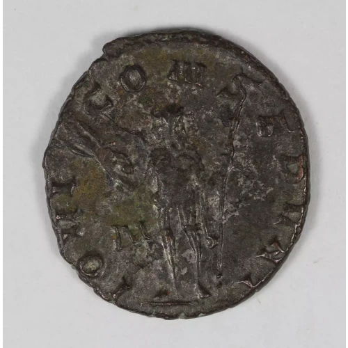 Ancient Roman Coin (3)