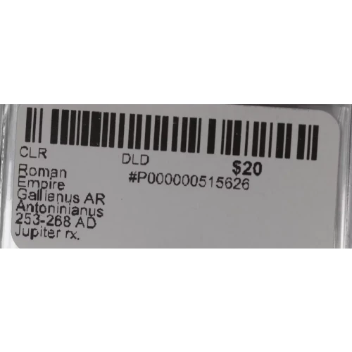 Ancient Roman Coin (2)