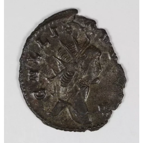 Ancient Roman Coin (3)