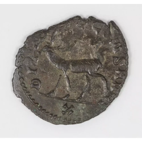 Ancient Roman Coin