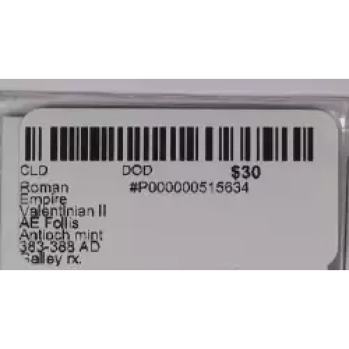 Ancient Roman Coin (3)