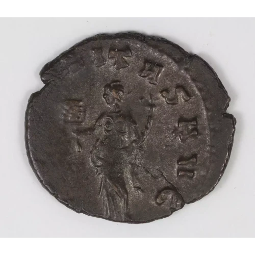 Ancient Roman Coin (2)