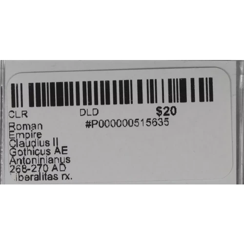 Ancient Roman Coin (3)