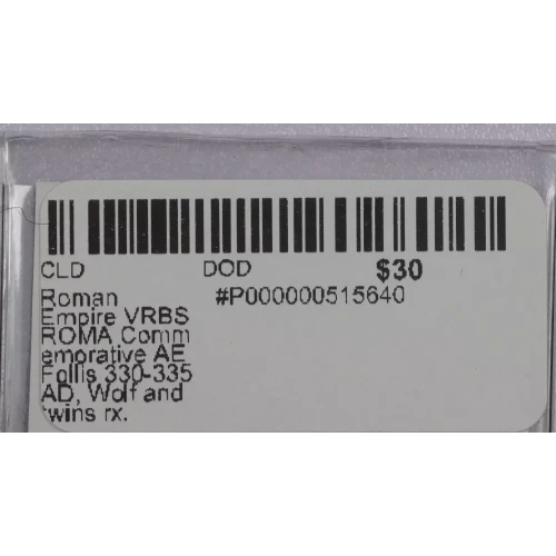 Ancient Roman Coin (3)