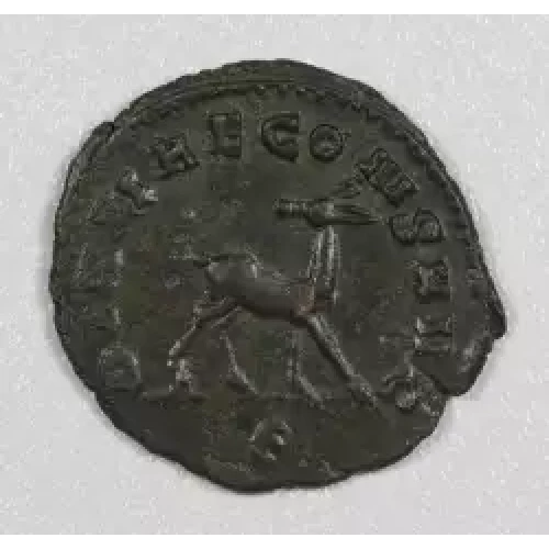 Ancient Roman Coin (2)