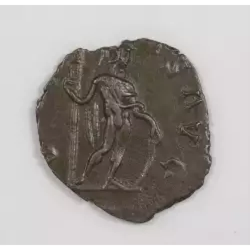 Ancient Roman Coin