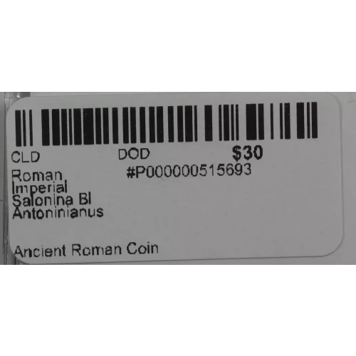 Ancient Roman Coin (3)