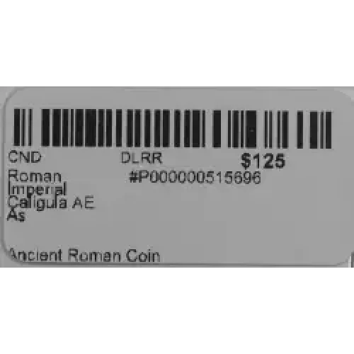 Ancient Roman Coin