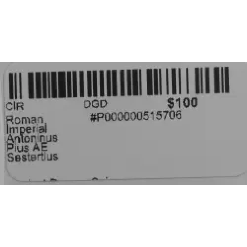 Ancient Roman Coin
