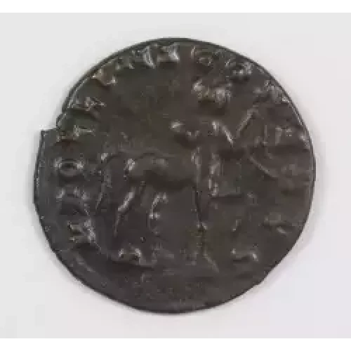 Ancient Roman Coin (3)