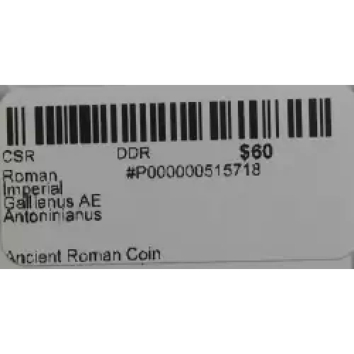 Ancient Roman Coin (2)