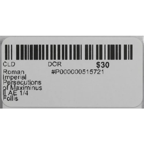 Ancient Roman Coin (3)