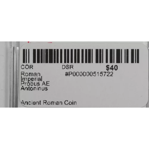 Ancient Roman Coin (3)