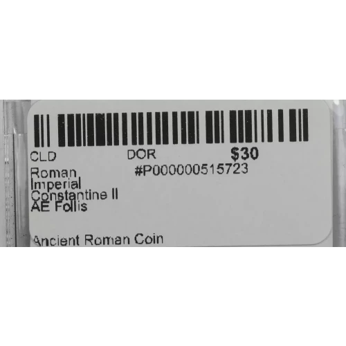 Ancient Roman Coin (3)