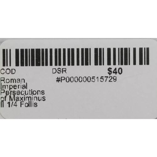 Ancient Roman Coin (3)