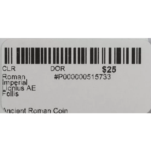 Ancient Roman Coin (2)