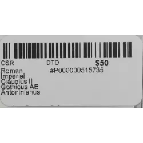 Ancient Roman Coin (3)