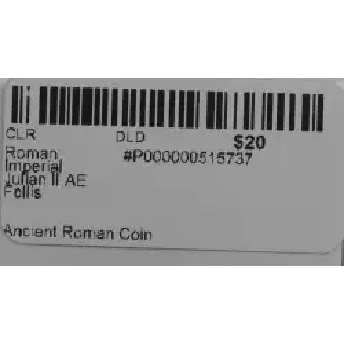 Ancient Roman Coin (3)