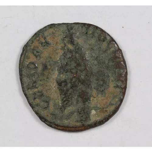 Ancient Roman Coin