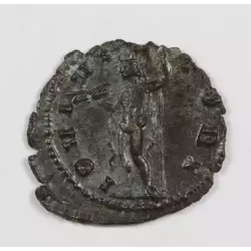 Ancient Roman Coin (3)