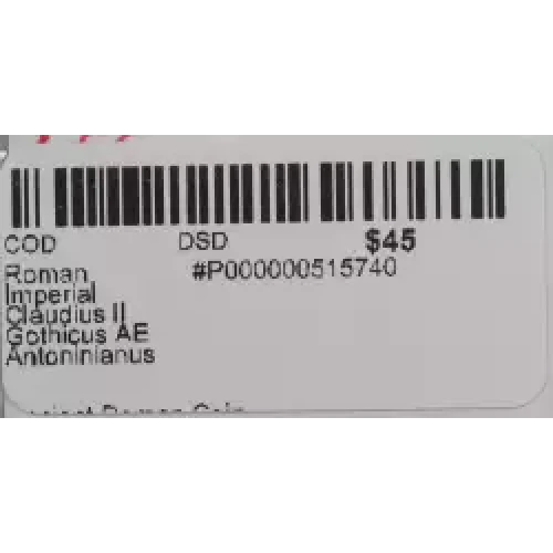 Ancient Roman Coin (2)