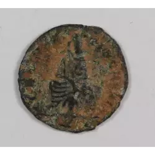 Ancient Roman Coin