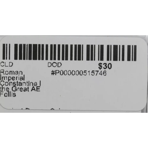 Ancient Roman Coin (3)