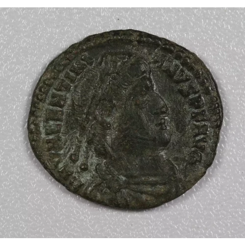 Ancient Roman Coin