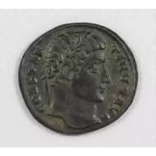 Ancient Roman Coin