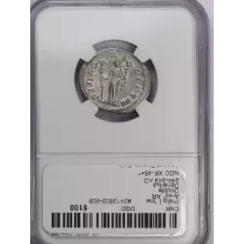 Ancient Roman Coin (4)