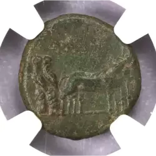 Ancient Roman Coin (4)