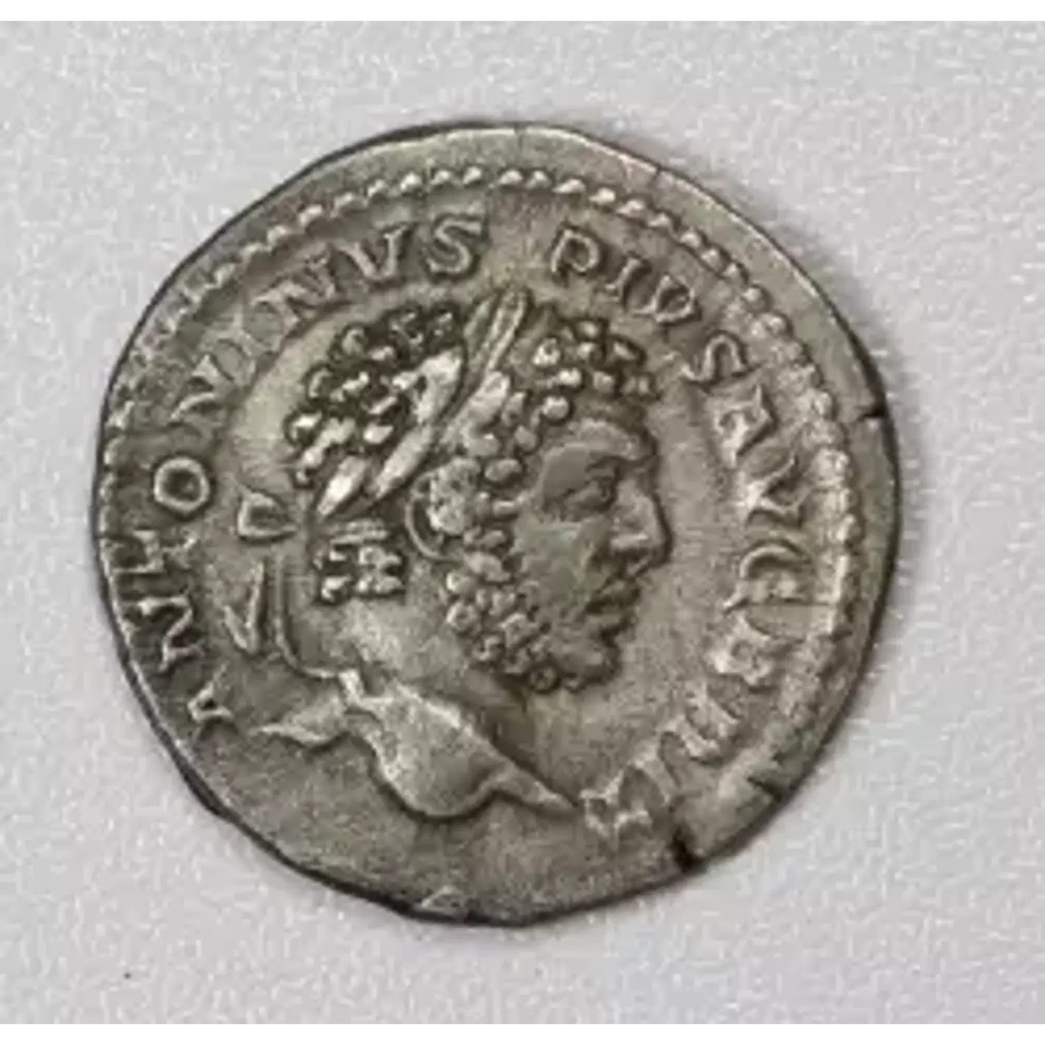 Caracalla AR Denarius 212 AD Annona reverse Ancient Roman Coin - Lost ...