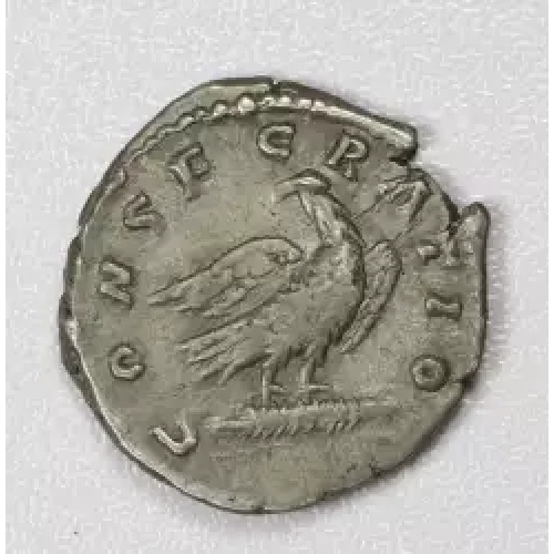 Ancient Roman Coin