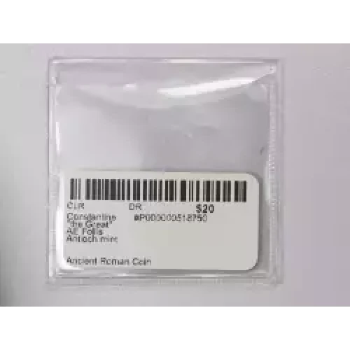 Ancient Roman Coin (3)