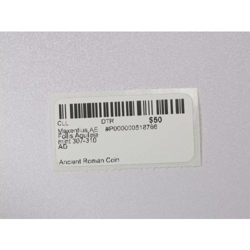 Ancient Roman Coin (3)