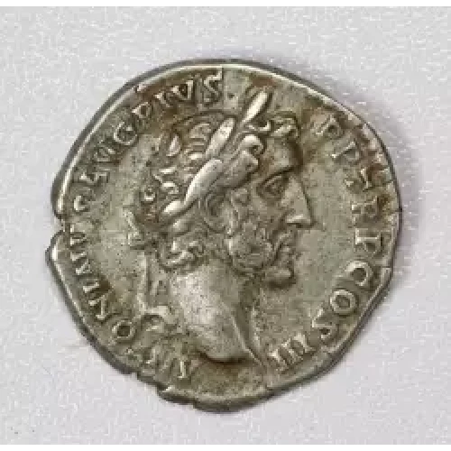Ancient Roman Coin (2)