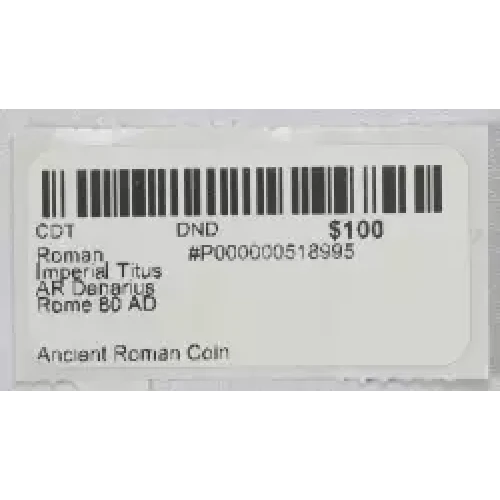 Ancient Roman Coin (3)