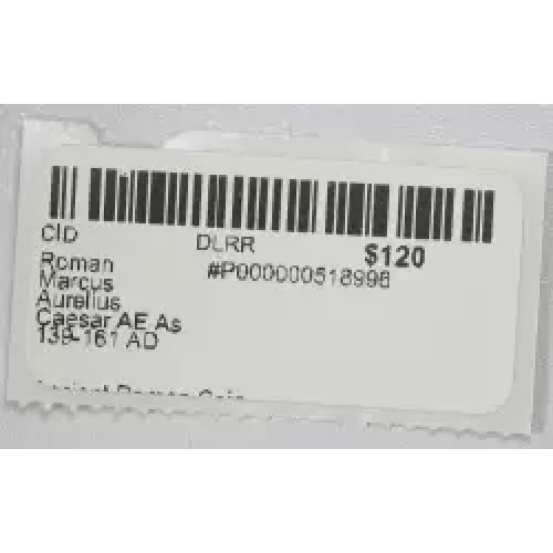 Ancient Roman Coin (3)