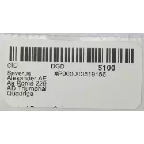 Ancient Roman Coin (3)