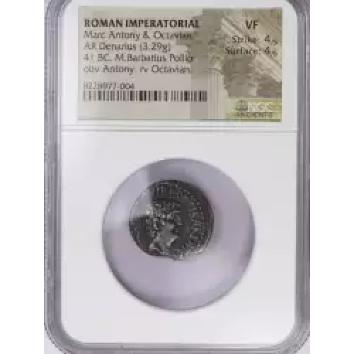 Ancient Roman Coin (4)