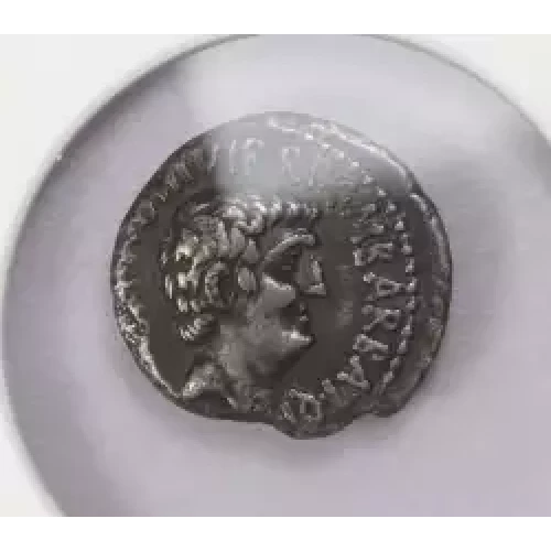 Ancient Roman Coin (3)