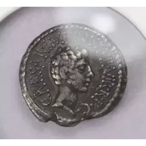 Ancient Roman Coin (2)