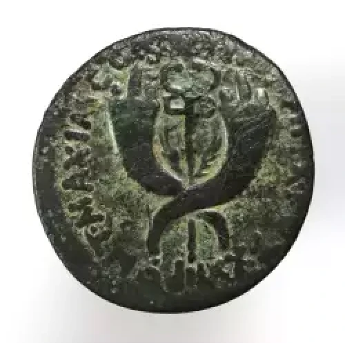 Ancient Roman Coin