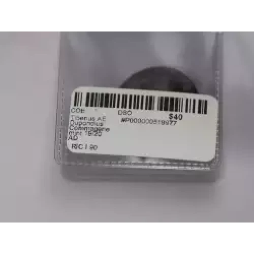 Ancient Roman Coin (3)